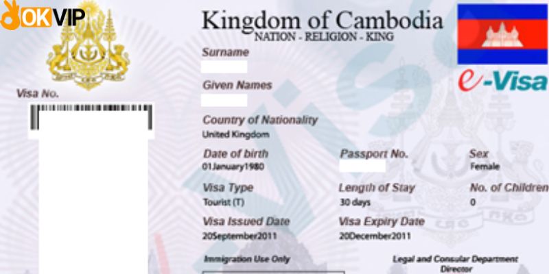 Hướng dẫn cách xin cấp phép visa E Campuchia