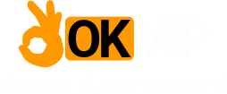 vnokvip.com